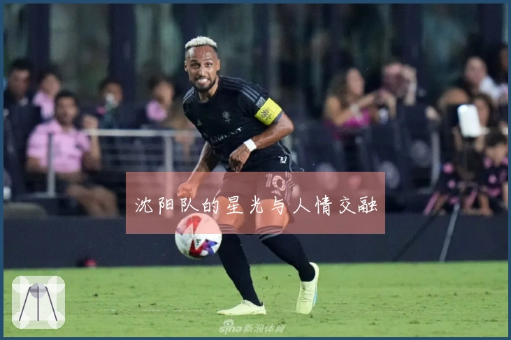沈阳队的星光与人情交融